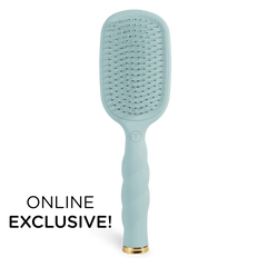 Detangler Hair Brush for Thick Hair – Blue