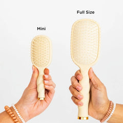 Detangler Hair Brush for Medium Hair Bundle